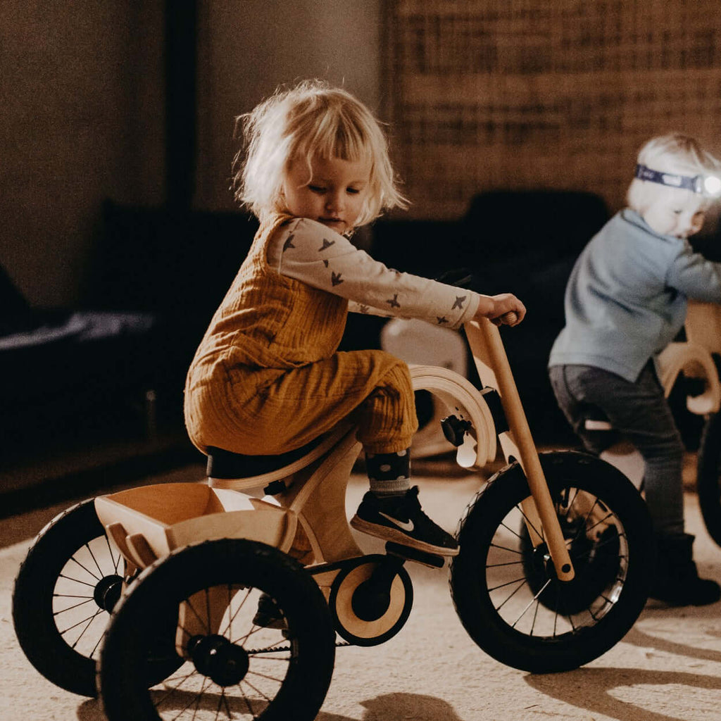 Tricycle Add-on for the leg&go Balance Bike 3in1